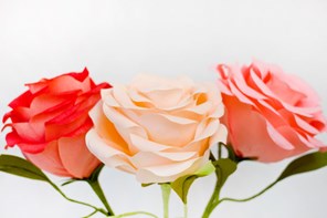Obří růže z krepového papíru