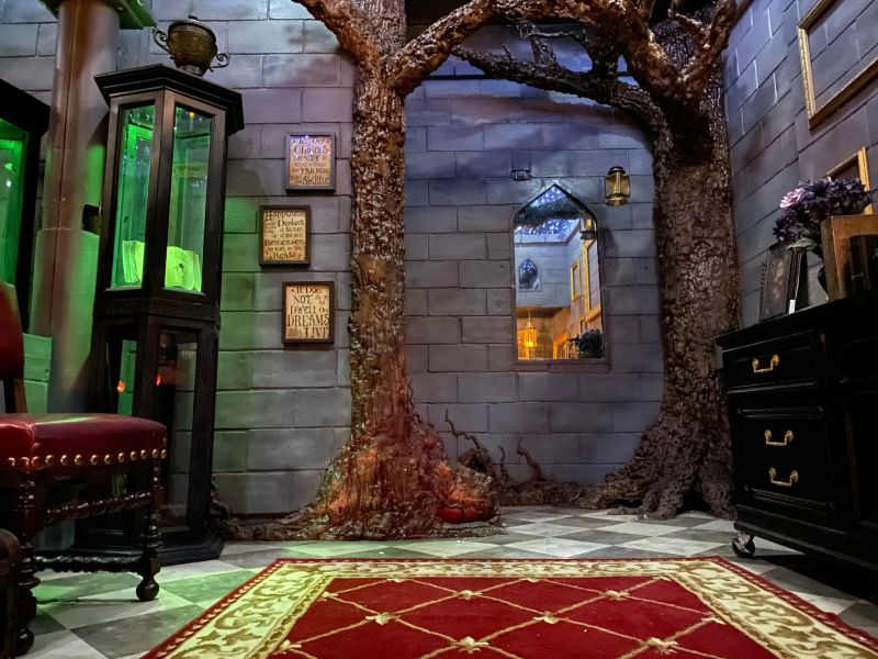 Fanoušek Harryho Pottera transormoval ložnici do Bradavic