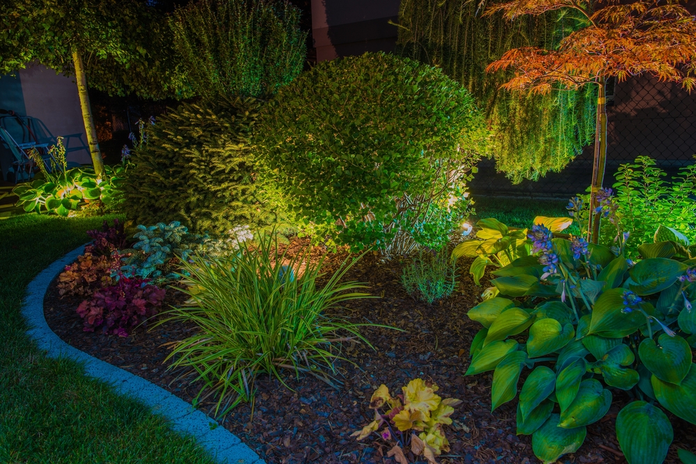 LED reflektor nasvěcující keř na zahradě