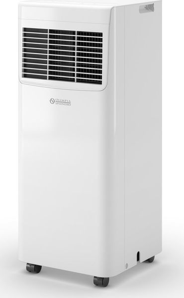 Olimpia Splendid Dolceclima Compact 8